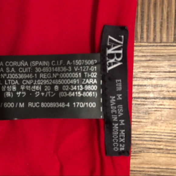 Zara Bikini - Picture 4 of 6